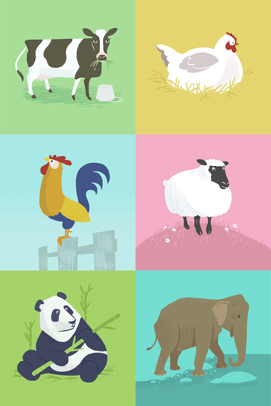 Animals_Illustration